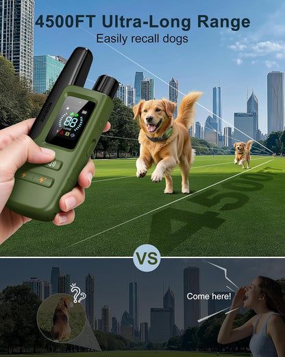 Dog Training Shock Collar